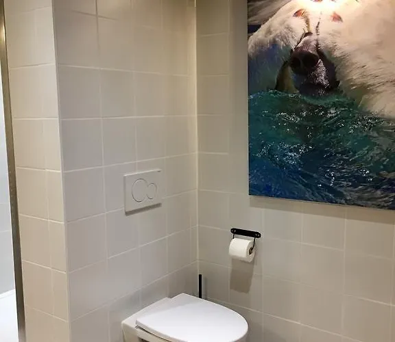 L'ours Blanc Apartmán *