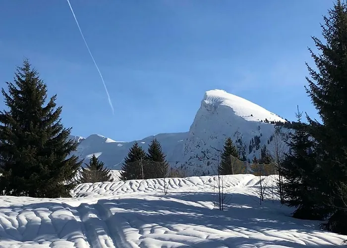 شقة L'ours Blanc Le Biot