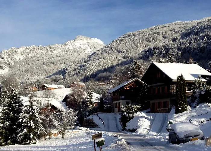 L'ours Blanc *