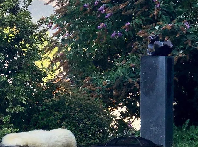 L'ours Blanc
