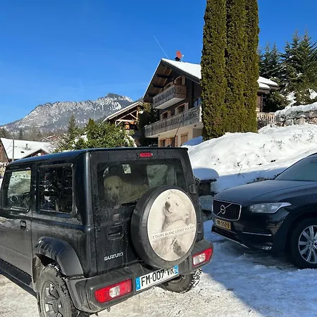 L'ours Blanc
