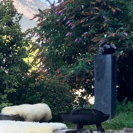 L'ours Blanc