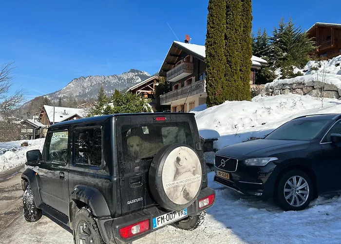 L'ours Blanc